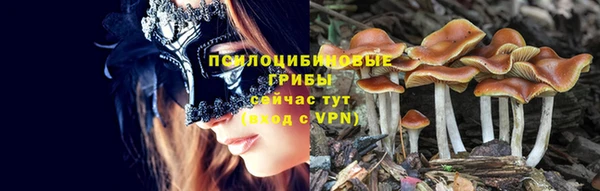 МДПВ Володарск