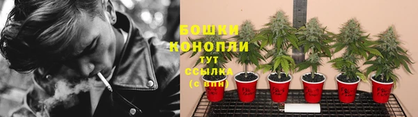 стаф Волоколамск