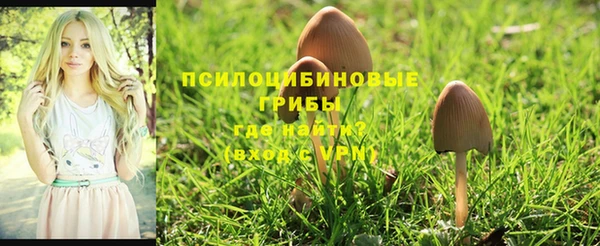 МДПВ Володарск