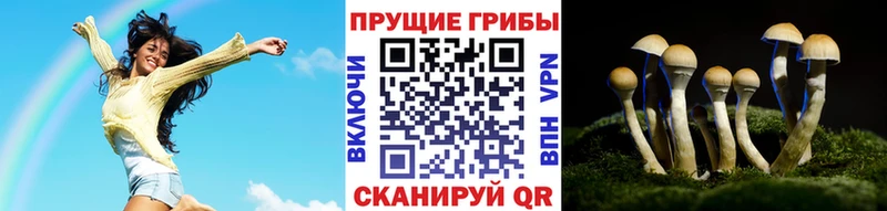 Галлюциногенные грибы Psilocybine cubensis  Мариинск 